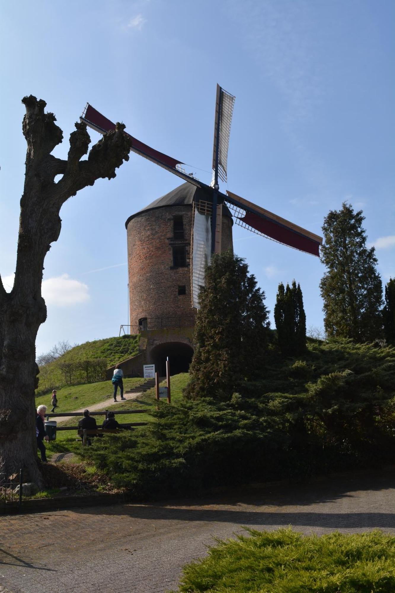 LoerbeekBeekse Brink住宿加早餐旅馆 外观 照片